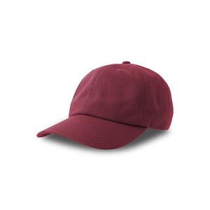Dad Hat-S
